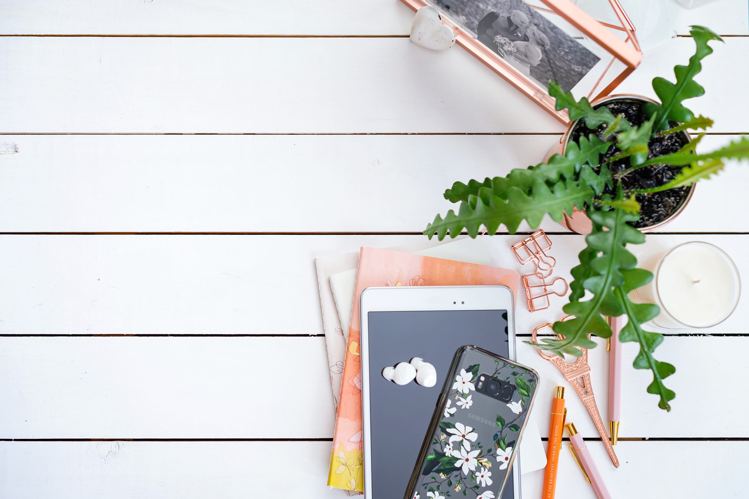 Primed For Prosperity